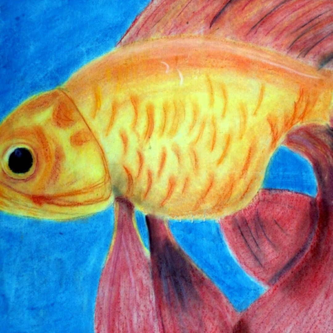 Animal artwork illustration